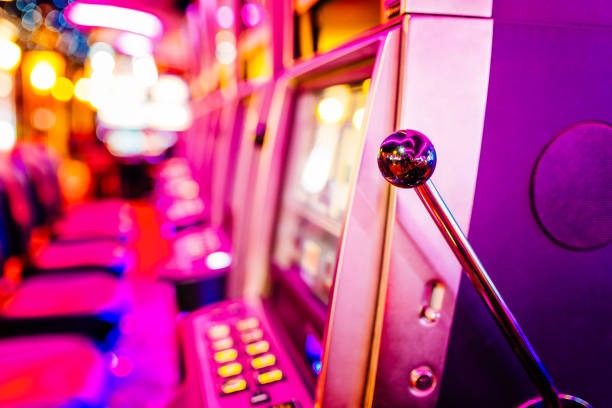 togelup net Bingo Draws